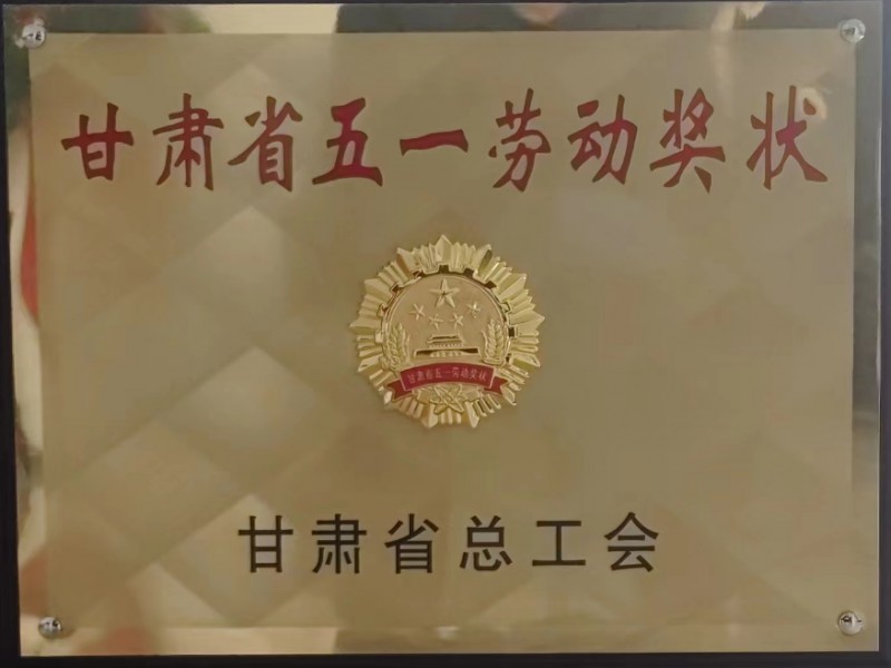 新建浙江麗水機(jī)場(chǎng)場(chǎng)道工程二標(biāo)段順利通過(guò)竣工驗(yàn)收