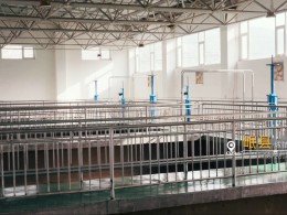 新建浙江麗水機(jī)場(chǎng)場(chǎng)道工程二標(biāo)段順利通過(guò)竣工驗(yàn)收